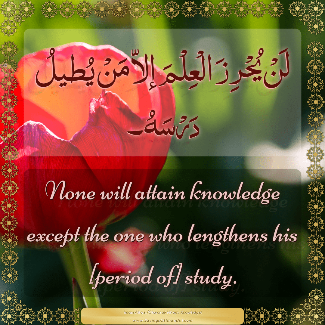 None will attain knowledge except the one who lengthens his [period of]...